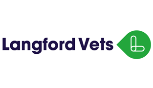 Langford Vets